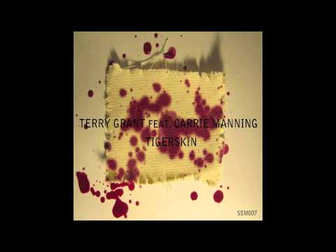 Terry Grant feat. Carrie Manning - Tigerskin (Paxton Fettel remix)