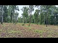 1 75 Acres Agri Land For Sale In Kodlipet 9844157265