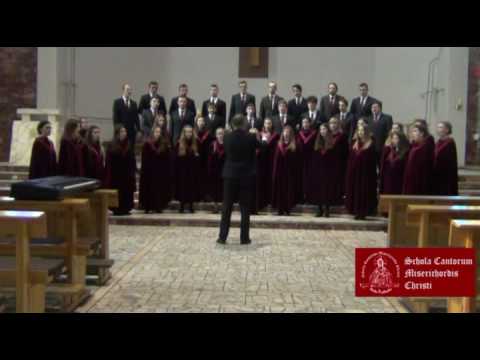 Cyprian Bazylik - Z głębokości grzechów moich