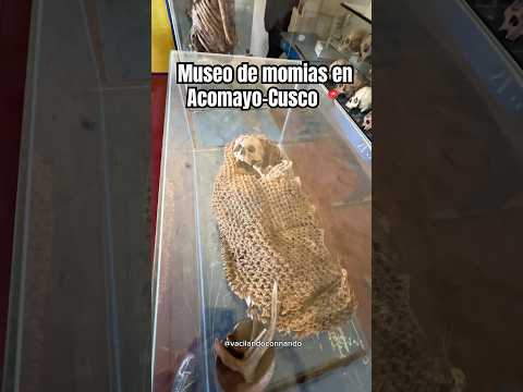 Este museo me sorprendió bastante y está en Acomayo 📍 #parati #museos #cusco #momias #info #datos