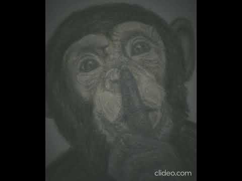 Wag Kang Maingay - Viruz Artist