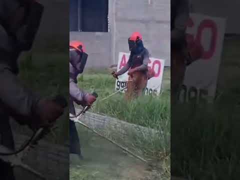 nilton roçada Maringá e região wats 44999321891#maringá #maringaparana #maringá #marialva #paiçandu