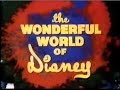 The Wonderful World Of Disney Intro 1975
