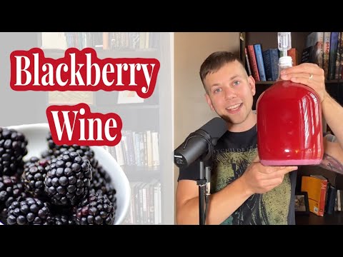 Making Blackberry Wine(1 gal): Home Brew Ohio Kit