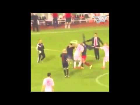 Albania - Serbia (The Fight) (Lorik Cana vs Serbian-Streaker)