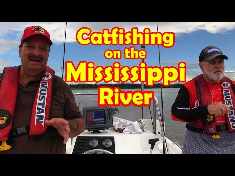 Catfishing rig for walking baits on the Mississippi River