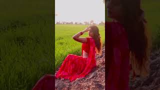 Model Film  | Insta Girl | saree | red l hot Beautiful   | ?   #shorts #tiktok #reels  #viral