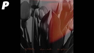 [Official Audio] 오안, 모트(Motte) - 외출