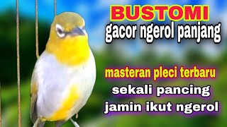 Download lagu Masteran Pleci Bustomi Gacor Buka Paruh || Pancingan Pleci Omyokan Biar Cepat Bunyi Ngeriwik mp3