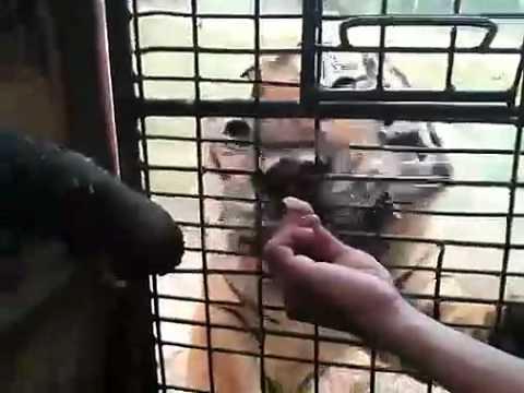 110113 - Dara's me2video update