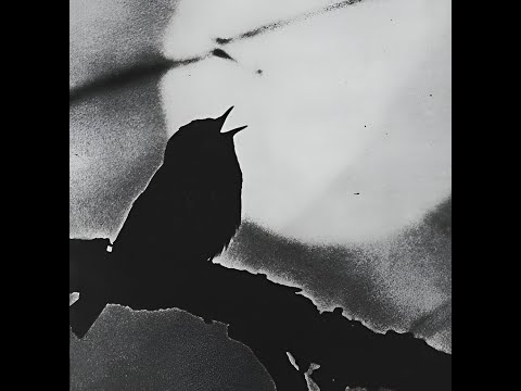 Ignición, Cautela & Agata Delirante - En cualquier lugar (con letra)