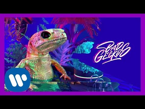 Bad Geckos - Where Were You (Official Video)