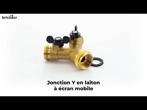 Raccord en Y laiton 2 sorties avec vannes RIQUIER