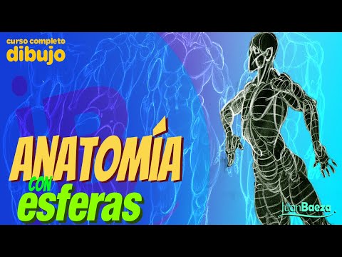 ANATOMIA CON ESFERAS 1 a
