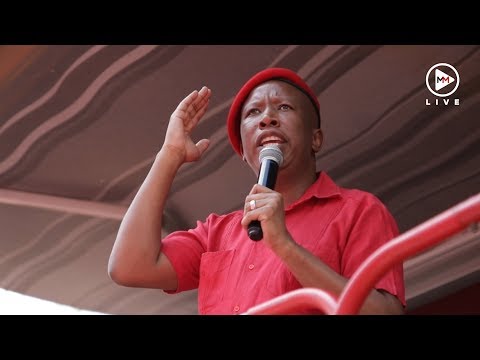 'If you push me, I push back’ Malema speaks after laying charges against Gordhan