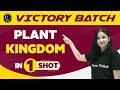 PLANT KINGDOM In One Shot NEET Class 11th Boards Victory Batch