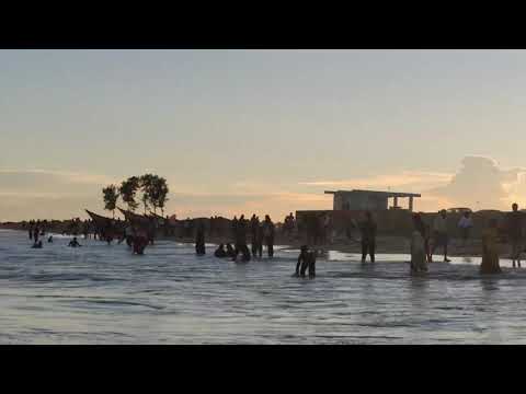 sight | long walk | beacholic | craze | travelling | #shorts |