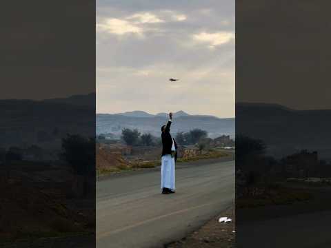 حراس الكروم — The Guardians