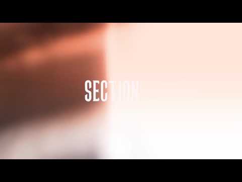 Legg x TheRealBoogie - Section 8 (OFFICIAL MUSIC VIDEO) Shot By: @leveledupvisuals