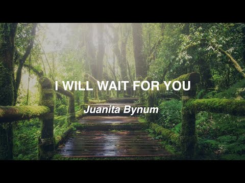 I Will Wait For You