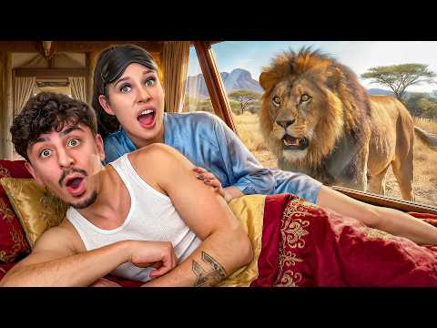 I Stayed in a Luxury Animal Hotel