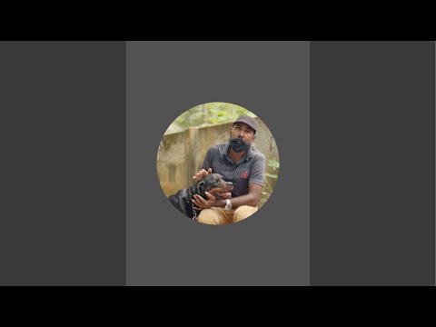 ANSHIKA MOBILE Dog Lover is live