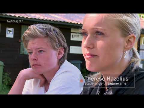 Jaktkunskap – Så blir du jägare