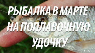 Ловля ельца в марте по открытой воде