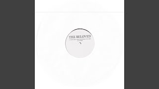 Your Love Takes Me Higher (Evil Mix)