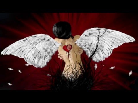 O Anjo Do Amor video