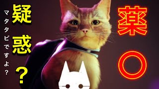 【Stray】薬〇疑惑についてwww
