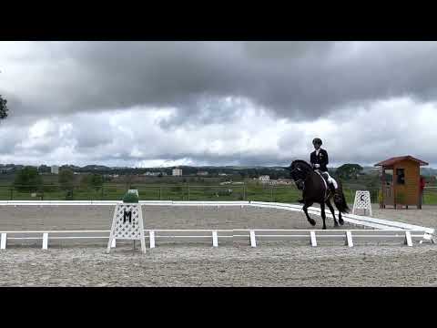 Pampero FS  - CDI3 Abrantes (Portugal) - Preliminary test for 6-year old horses
