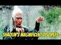 Wu Tang Collection - Shaolin's Magnificent Disciples