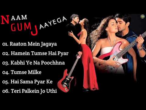 Naam Gum jayega_Movie all songs dia mirza_Rakesh bapat