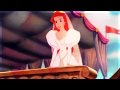 Disney Where Dreams Begin