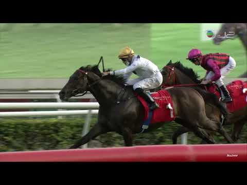 21/11/2021 (193) 金鎗六十 (C238) 何澤堯 馬會一哩錦標