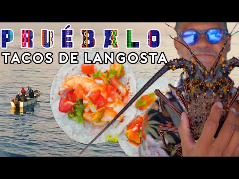 Fresh Caught Lobster Tacos in Mazatlán | Pruébalo with Rick Martinez
