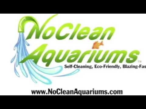 My Fun Fish  Inventor Kickstarter Video -  NoClean Aquariums Self Cleaning Betta Aquarium