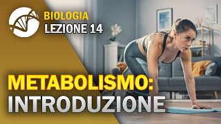 BIOLOGIA - Lezione 14 - Metabolismo Cellulare: Introduzione