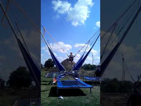 La ziua domanestiului