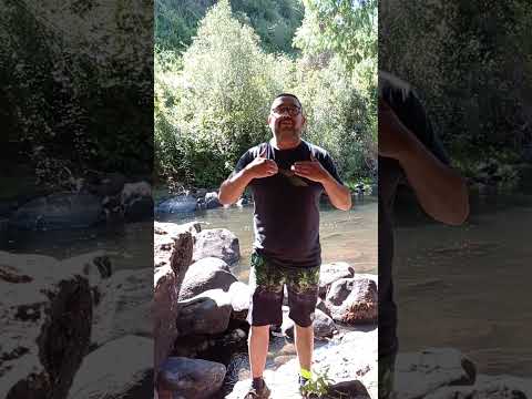 Salto Pichunlao camino a Galvarino región de la Araucanía #viralvideo #nature #viralshorts