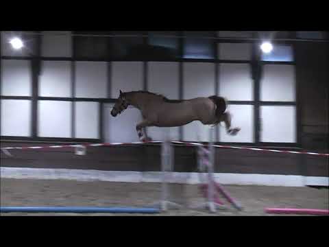 SPOTIFY 4j. Hann. v. Szenario - Silvio - Grannus