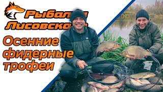 Как приготовить прикормку для язя на фидер