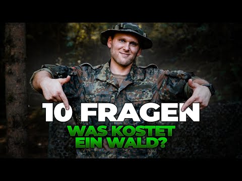 Was kostet ein eigener Wald? - 10 Fragen an einen Waldbesitzer!