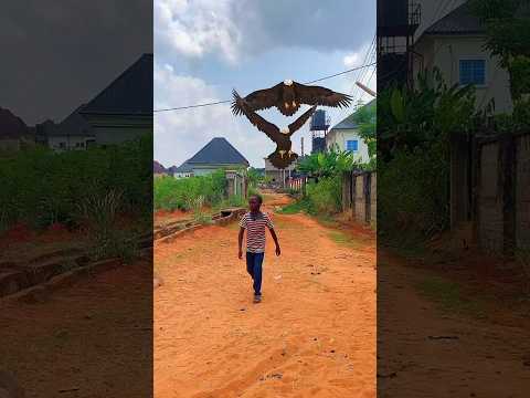 £vil men landed in a wrong place 😂