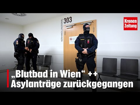 „Blutbad in Wien“ ++ Asylanträge zurückgegangen | KRONE NEWS