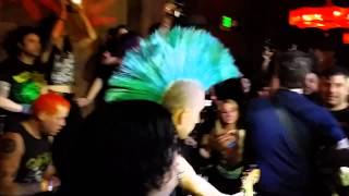 The virus - rats in the city