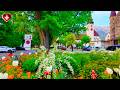 Interlaken Walking Tour A Colorful Evening Through Switzerland S Flower Lined Streets 4K