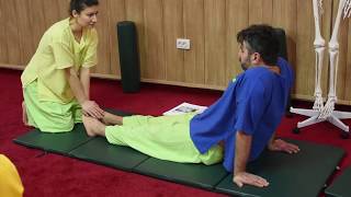 Curs Introductiv Masaj Thai Regal