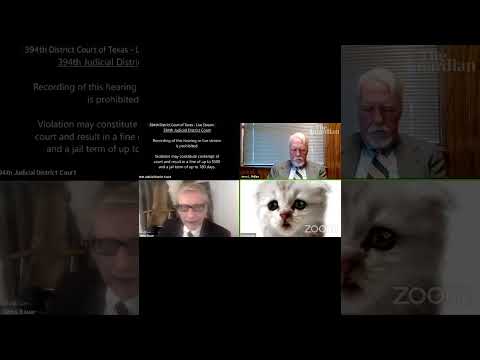 "I'm NOT A Cat": Lawyer Gets Stuck in Zoom Kitten Filter During Court Hearing